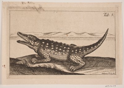 Un cocodrilo de Johanna Fosie