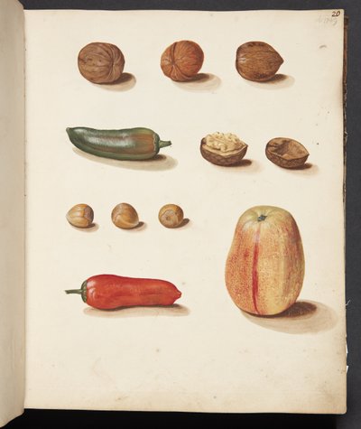 Estudio de manzana, nueces y pimientos de Johanna Fosie