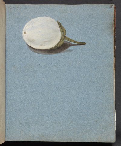 Estudio de bayas de Johanna Fosie