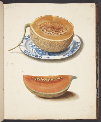 Estudio de dos melones, cortados y cuadrados de Johanna Fosie