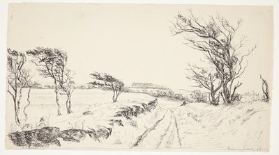 Paisaje Breininggaard de Johanne Krebs