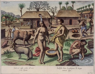 Vida en Goa, ilustración de 