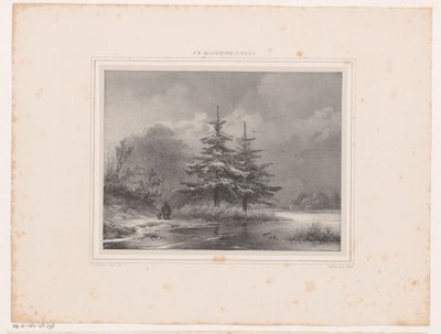 Paisaje de invierno con dos pinos. de Johannes Christiaan d