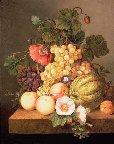 Naturaleza muerta con frutas de Johannes Cornelis Bruyn
