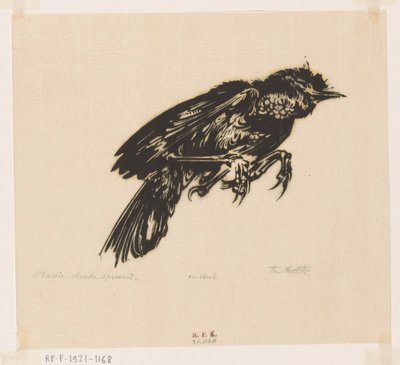 Doode spreeuw (título original del objeto) de Johannes Frederik Engelbert ten Klooster (signed by artist)