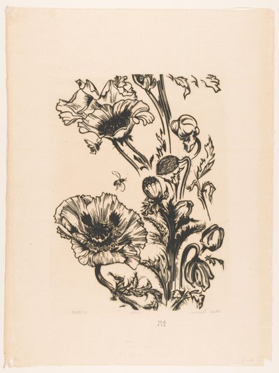 Studie papavers (título original del objeto) de Johannes Frederik Engelbert ten Klooster (signed by artist)