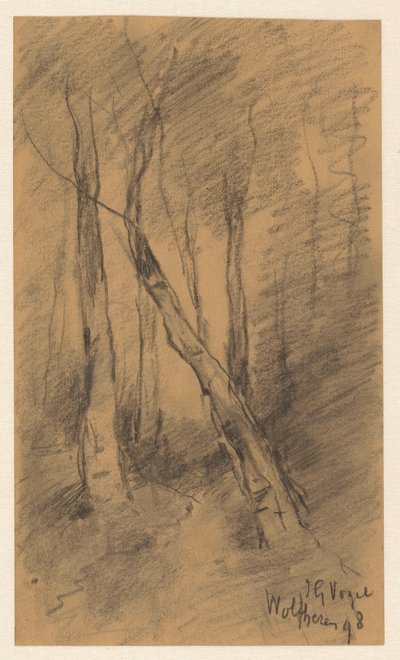 Paisaje forestal cerca de Wolfheze de Johannes Gijsbert Vogel