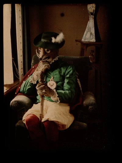 Persona disfrazada de zorro de Johannes Hendrikus Antonius Maria Lutz
