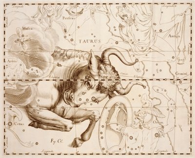 Tauro (signo del zodiaco), grabado de Firmamentum Sobiescianum sive Uranographia, catálogo estelar completo, por Johann Hevelius (1611-1687), impreso en Gdansk de Johannes Hevelius