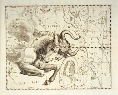 Tauro, constelación de Tauro, grabado del atlas celeste Firmamentum Sobiescianum sive Uronographia, de Johann Hevelius (1611-1687), Gdansk. de Johannes Hevelius