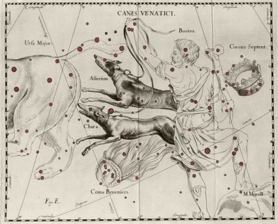 La constelación Canes Venatici, Perros de Caza. Lámina extraída de “Firmamentum Sobiescanum sive Uranographia” por Johannes Hevelius (1611-1687) de Johannes Hevelius
