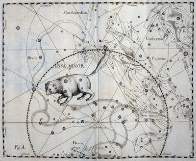 Osa Menor, constelación boreal de la Osa Menor, grabado del atlas celeste Firmamentum Sobiescianum sive Uronographia, de Johann Hevelius (1611-1687), Gdansk. de Johannes Hevelius