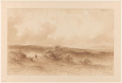 Paisaje de dunas de Johannes Hilverdink