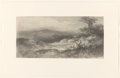 Paisaje de dunas de Johannes Hilverdink