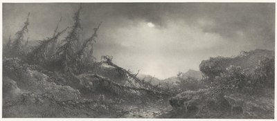 Después de la tormenta de Johannes Hilverdink