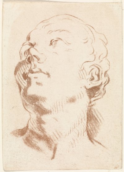 Cabeza de mujer de Johannes Janson (possibly)