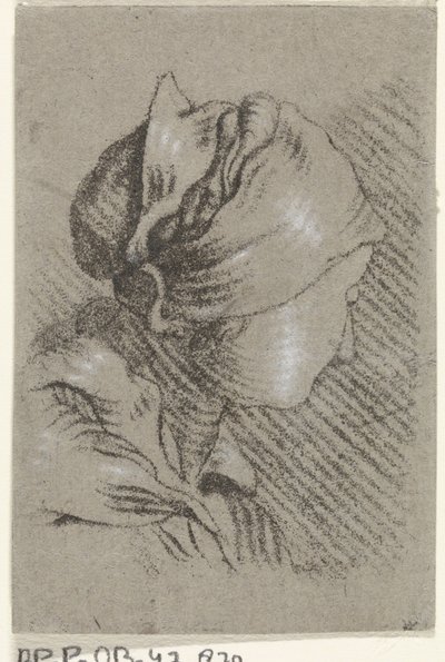 busto femenino de Johannes Janson (possibly)