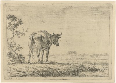 Vaca en pasto de Johannes Janson
