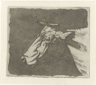 cabeza de vaca de Johannes Janson