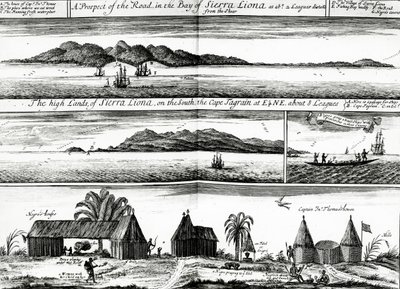 Una perspectiva del camino en la bahía de Sierra Liona, una ilustración del vol.5 de 