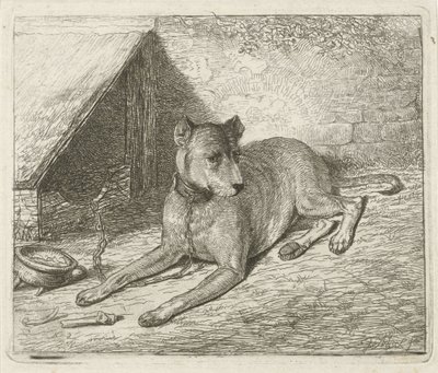 Perro en una cadena en una perrera de Johannes Mock