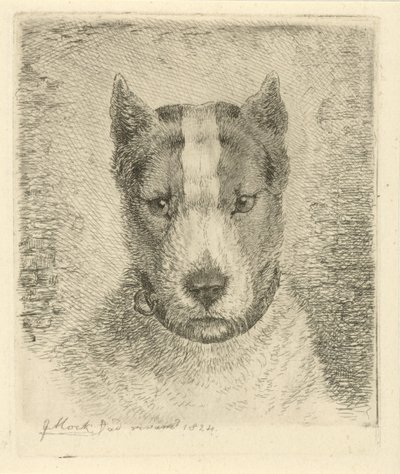 cabeza de perro con collar de Johannes Mock