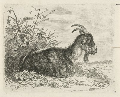 libro mentiroso de Johannes Mock