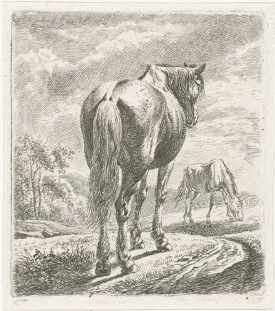 Caballo visto desde atrás de Johannes Mock