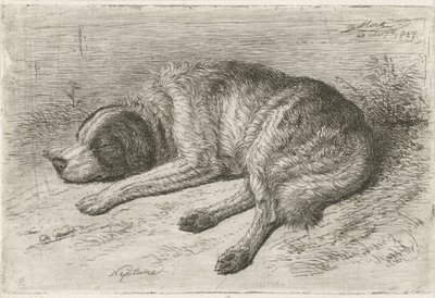Perro durmiendo a la izquierda Neptuno (título sobre el objeto) de Johannes Mock