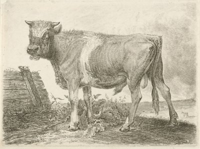 Caminos de Johannes Mock