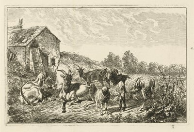 Cuatro cabras y una oveja junto a una casa. de Johannes Mock