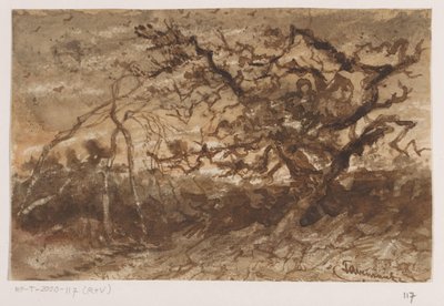 Árbol al atardecer de Johannes Tavenraat (signed by artist)