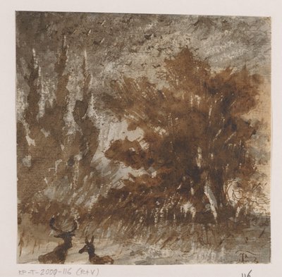 Ciervos y pájaros cerca de los árboles altos de Johannes Tavenraat (signed by artist)