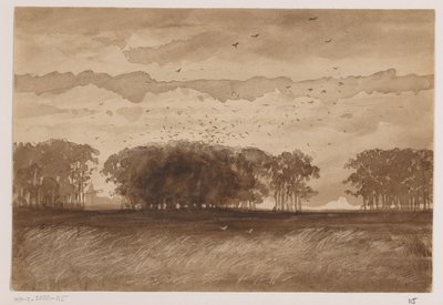 Colonia de lucios en Brabante Septentrional de Johannes Tavenraat (signed by artist)