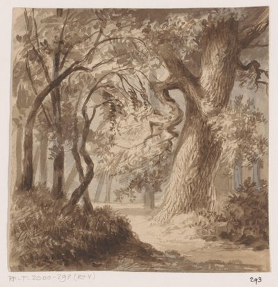 Paisaje forestal de Johannes Tavenraat