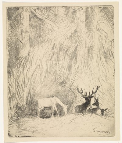 Ciervo en un bosque bohemio de Johannes Tavenraat