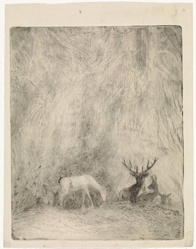 Ciervo en un bosque bohemio de Johannes Tavenraat