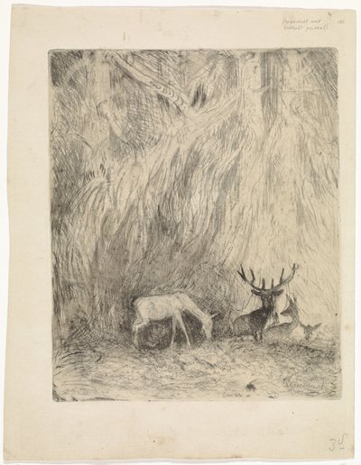 Ciervo en un bosque bohemio de Johannes Tavenraat