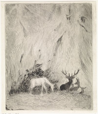 Ciervo en un bosque bohemio de Johannes Tavenraat