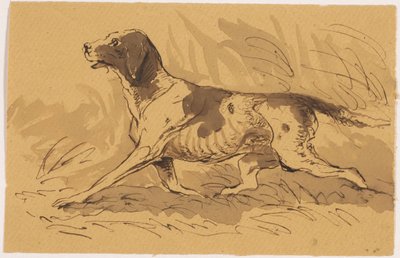 Perro de caza de Johannes Tavenraat