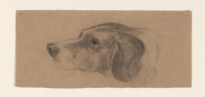 Cabeza de perro, a la izquierda de Johannes Tavenraat