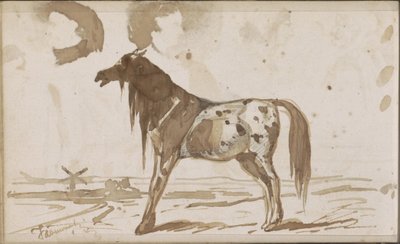 Paisaje plano con un caballo de Johannes Tavenraat