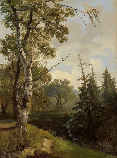 Bosque cerca de Wolfheze de Johannes Warnardus Bilders
