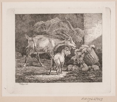 Una cabra, un cabrito y conejos en un establo de Johannes Wilhelm Zillen