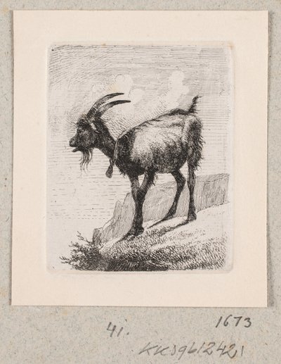 Una cabra con campana de Johannes Wilhelm Zillen