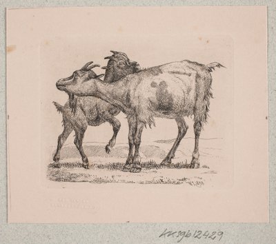 Una cabra con su cabrito de Johannes Wilhelm Zillen