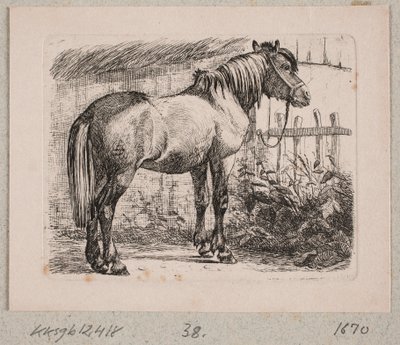 Un caballo con brida de Johannes Wilhelm Zillen