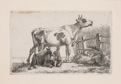 Una vaca descansando y otra de pie de Johannes Wilhelm Zillen