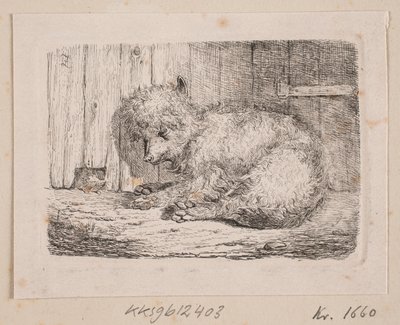 Un perro de pelo largo de Johannes Wilhelm Zillen