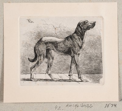 Un perro de pie de Johannes Wilhelm Zillen